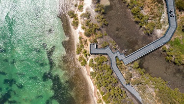 Pirrita Island Boardwalk