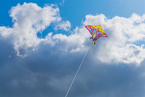 Caves Festival of Kites - Lake Macquarie City Council