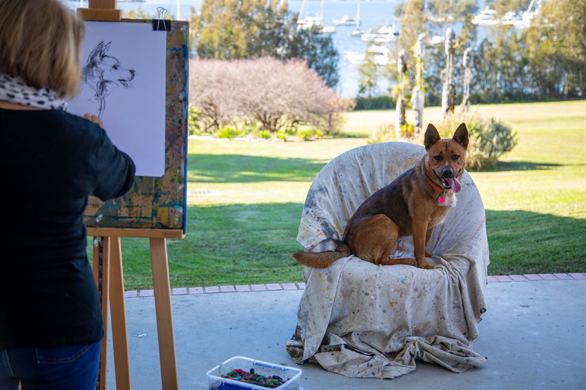 Ringo the dog poses for artist Ileana Clarke, who will be hosting sessions at the Dog Day Out event in June.jpg
