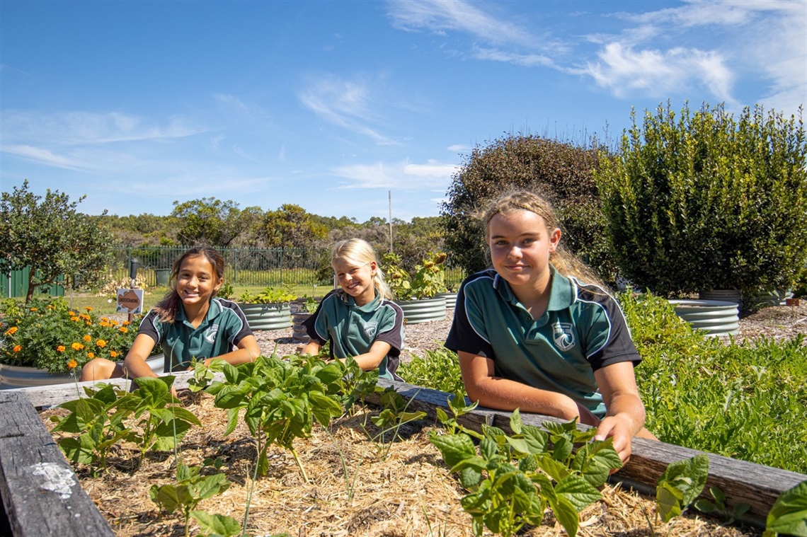 Blacksmiths Public School integrated a greenhouse irrigation system to the vegetable garden with grant funding.jpg