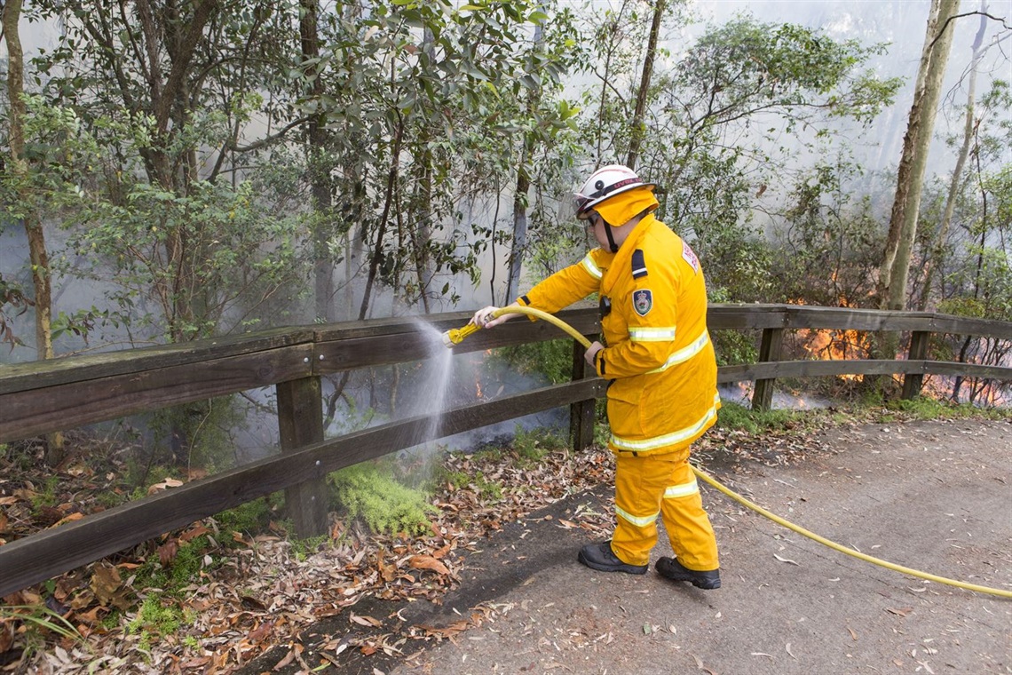 Fire reduction - Green Point Reserve (56).jpg