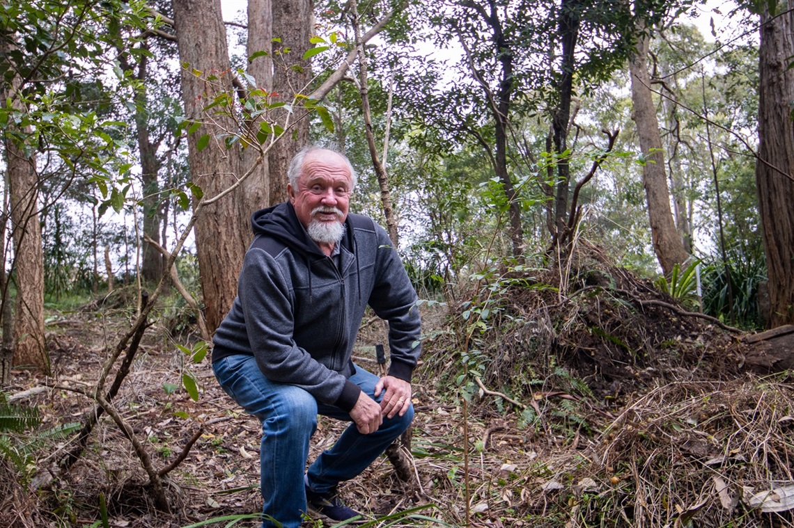 Bob Spargo among piles of exotic Fishbone and Asparagus fern being removed in Kahiba.jpg