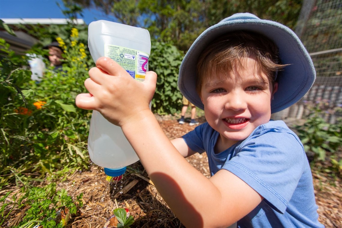 Ted Ellis, 4, watering the vegetable garden at Landcare Resource Centre Teralba December 2022.jpg