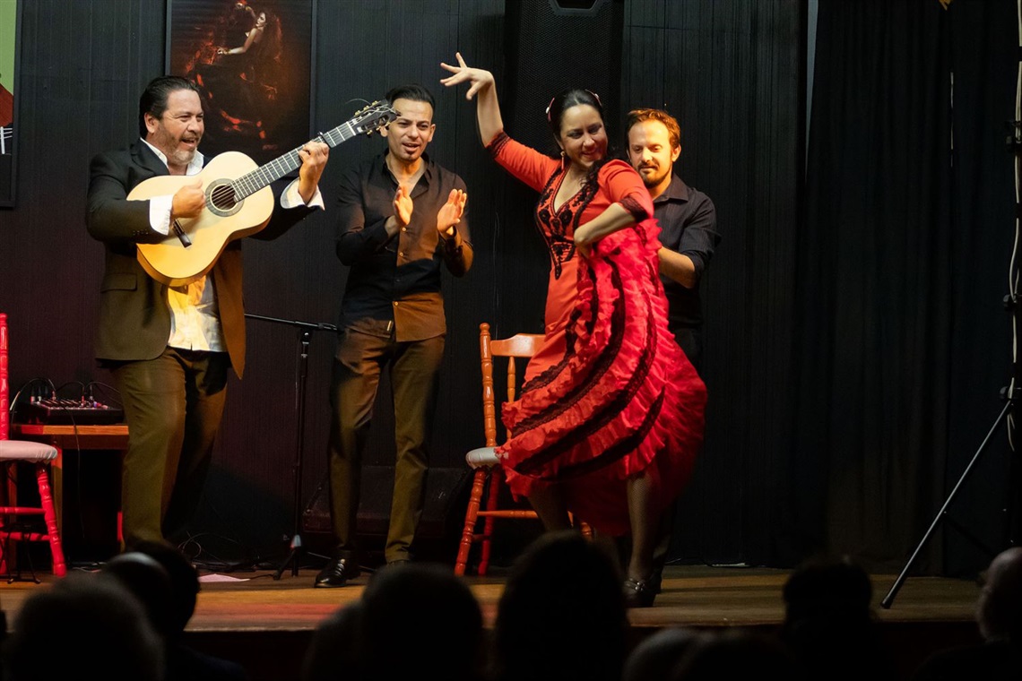 Andalusian Guitar flamenco performance, coming to Rathmines Theatre on 8 September.jpg