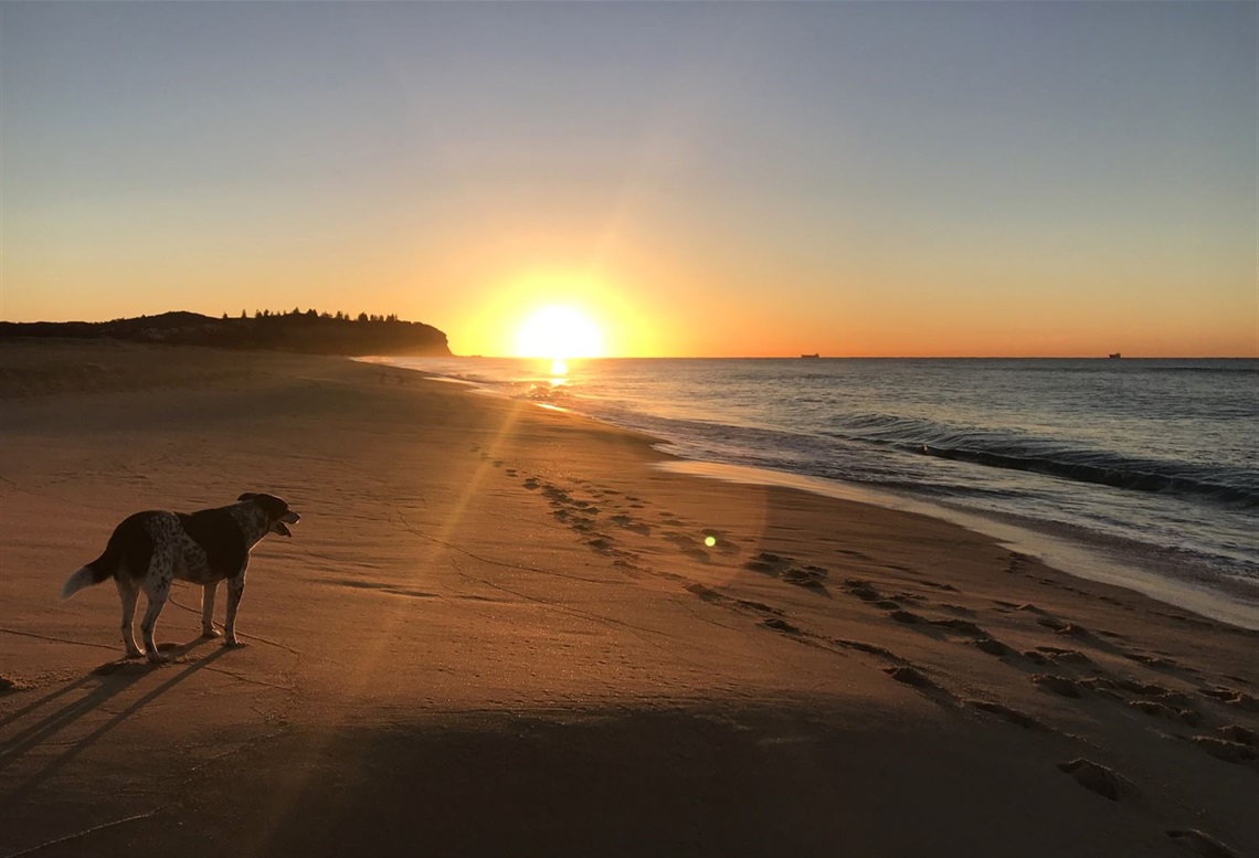 Dogs will still be allowed off-lead past Second Creek.jpg