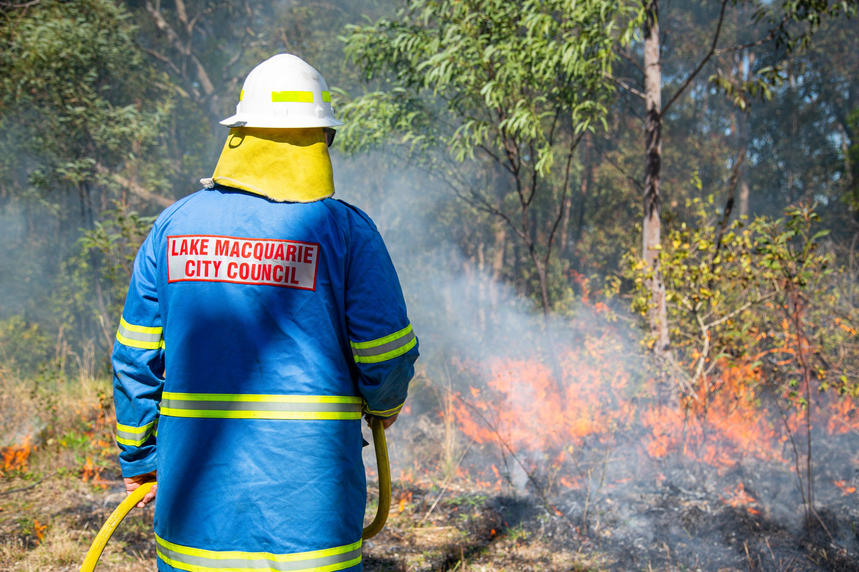 Bushfire.jpg