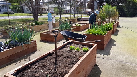 Holmesville Community Garden.jpg