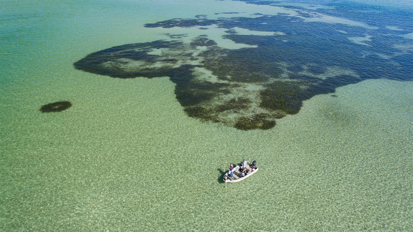 sand islands fishing.jpg